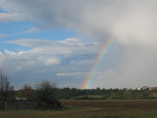 Rainbow field grass trees cloudy - a rainbow free wallpaper