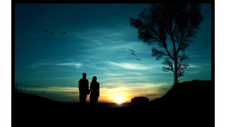 Couple tree sunset birds flying - dreamlike free wallpaper