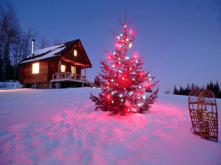 Small christmas tree snow house 2 - a house free wallpaper
