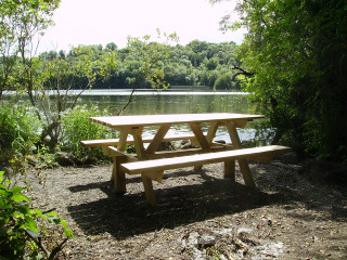 Picnic table lake forest lakebank - medium free wallpaper