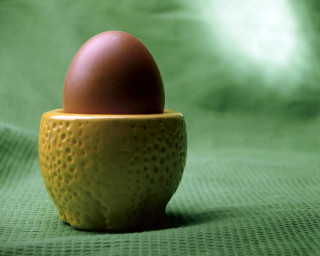 Brown egg yellow cup green - soft free wallpaper for desktop