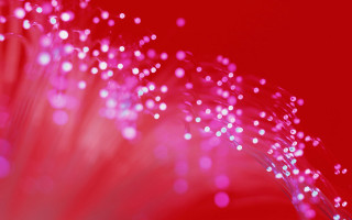 Pink flower petal dots red - chiharu shiota free wallpaper