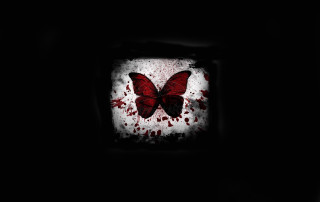 Butterfly blood wings square frame 2 - dark art free wallpaper