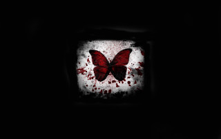 Butterfly blood wings frame dark - dark art free wallpaper
