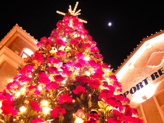 Christmas tree red flower building - a moon in the sky free wallpaper
