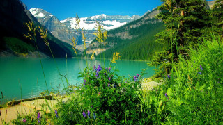 Lake mountains trees blue sky 49 - mountain and trees free wallpaper