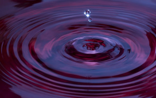 Red purple water droplet white - anish kapoor free wallpaper