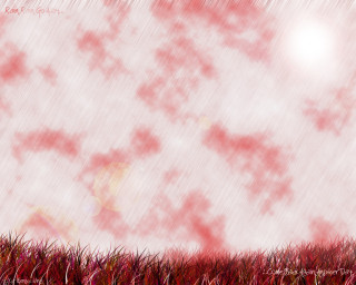 Red white field grass clouds - photo of a field free wallpaper