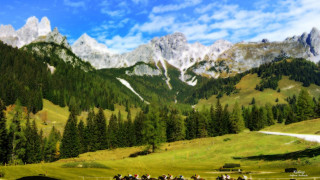 Horse riding group mountain field - a mountain range free wallpaper