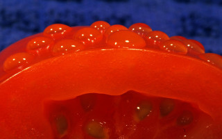 Red object water droplets blue - subsurface free wallpaper