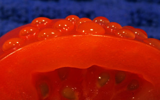 Red object water droplets blue 2 - subsurface free wallpaper