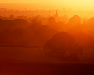 City sunset horse grazing distant - a view of a city free wallpaper