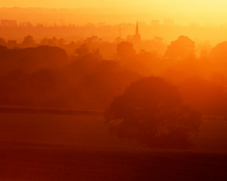 City sunset horse grazing foreground - a view of a city free wallpaper