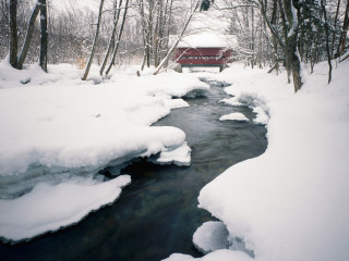Snowy forest red bridge mountains - alexander brook free wallpaper