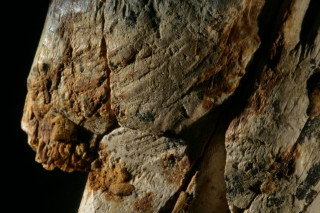 Rock primivitism cave desert forest - real free wallpaper