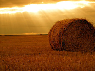Hay bale sunshine clouds sunbeams - david begbie free wallpaper