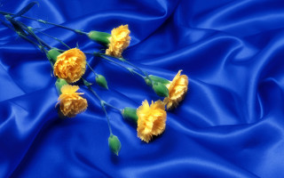 Yellow flowers blue satin background - derek jarman free wallpaper