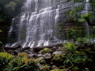 Waterfall water river forest mountain - side and trees free wallpaper