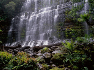 Waterfall side water trees australian - anson maddock free wallpaper