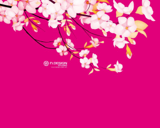 Pink background white flowers black 2 - a black frame free wallpaper for desktop