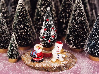 Small christmas tree snowmen santa 5 - a santa clause free wallpaper