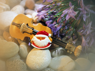 Violin santa toy rocks flowers - rock free wallpaper for desktop