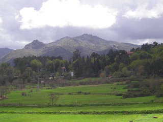 Green field mountain clouds sheep 3 - a few sheep free wallpaper