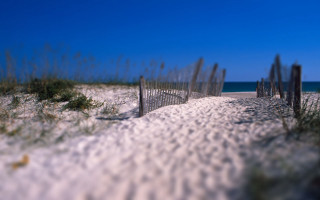 Beach fence grass sand blue 4 - free beach wallpaper