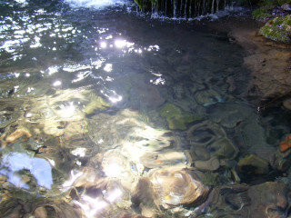 Stream water rocks plants sunlight 3 - water free wallpaper