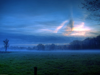 Field tree sky clouds fog - free sky wallpaper for desktop