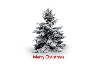 Christmas tree red ribbon merry - merry free wallpaper