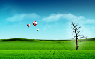 Tree field hot air balloons - hot free wallpaper