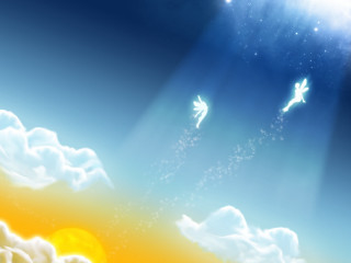Birds flying sky clouds sun 2 - two bird free wallpaper