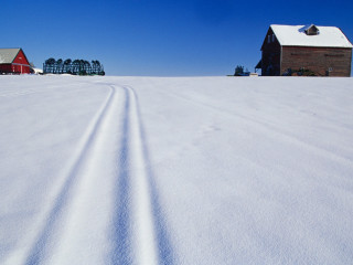 Snow covered field barn red - a barn free wallpaper