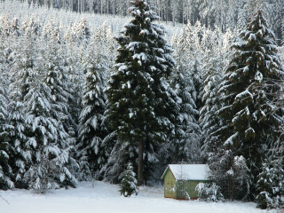 Small cabin snowy forest winter 2 - the background and a snow free wallpaper