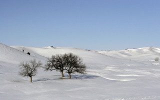 Trees snow hill background winter 2 - christo free wallpaper