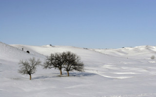 Trees snow hill background winter - christo free wallpaper