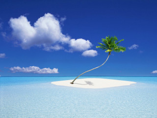 Lone palm island ocean sky 2 - florianne becker free wallpaper