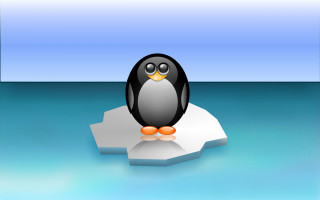 Penguin ice water blue sky - a penguin free wallpaper