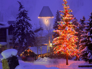 Christmas tree snow house lit - magical atmosphere free wallpaper