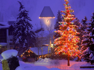 Christmas tree snow house lit 2 - magical atmosphere free wallpaper