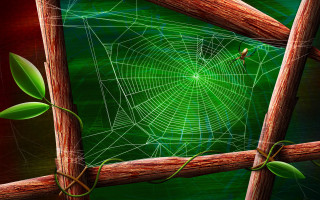 Spider web wooden fence green 3 - a spider web free wallpaper