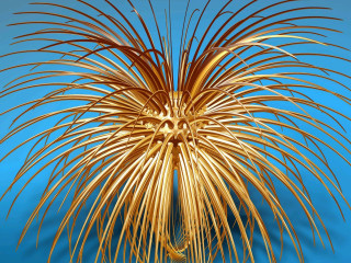 Golden sculpture flower blue background - c4d free wallpaper for desktop