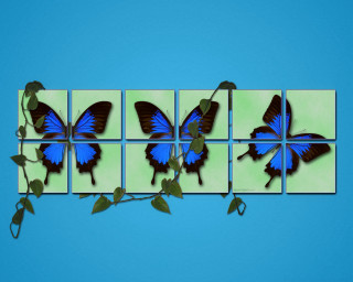 Blue butterfly green wall plant - a blue butterfly free wallpaper