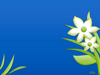 White flower green leaves blue - a green border free wallpaper