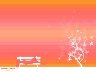 Bench tree leaves rainbow background - front of a tree free wallpaper