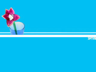 Flower vase blue background white - gradient light blue free wallpaper