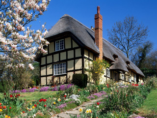 Thatched roof house flowers path - roof free wallpaper