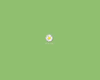 Single white flower green background - a single white flower free wallpaper