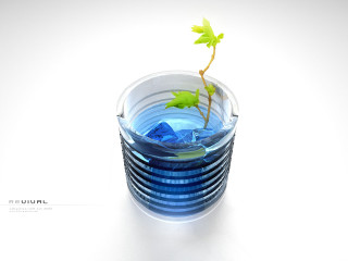 Small plant glass water white - vray free wallpaper